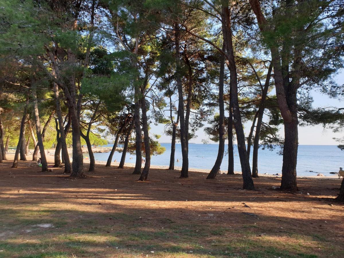 Apartments Adri, Parking In The Yard Rovinj Eksteriør billede