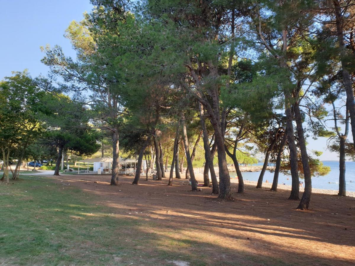 Apartments Adri, Parking In The Yard Rovinj Eksteriør billede