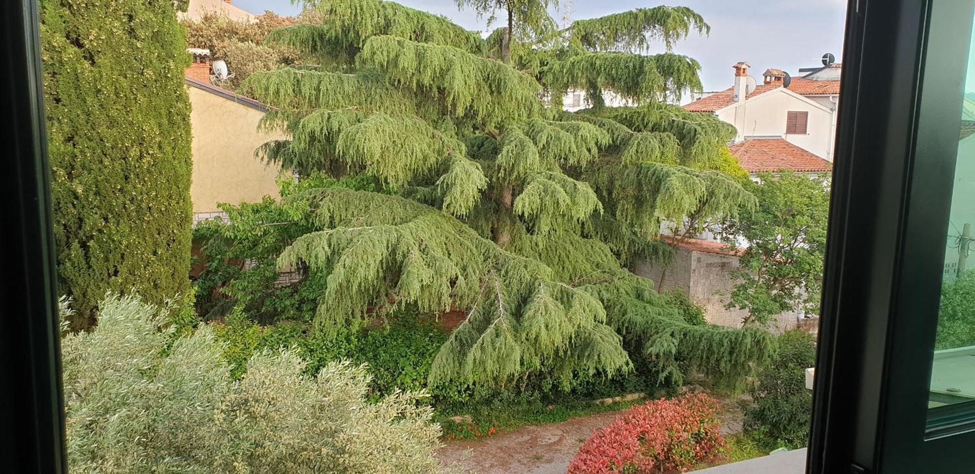 Apartments Adri, Parking In The Yard Rovinj Eksteriør billede